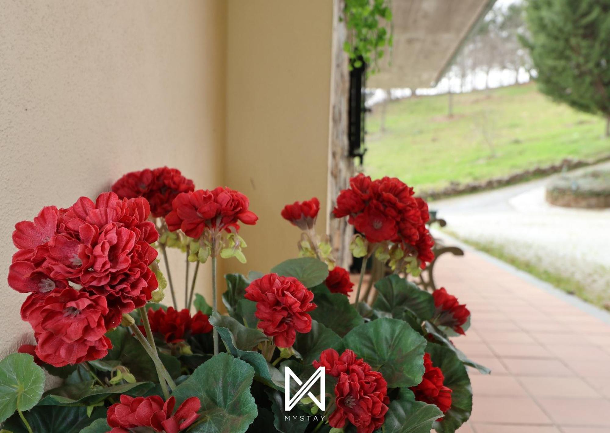 Mystay - Casa Pereira Soeima Алфандега-да-Фе Экстерьер фото